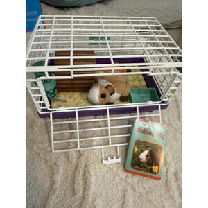 American Girl Guinea Pig Set with White and Purple Cage